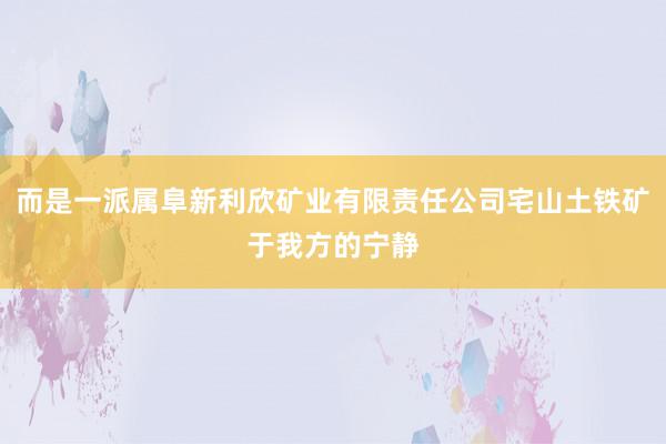 而是一派属阜新利欣矿业有限责任公司宅山土铁矿于我方的宁静