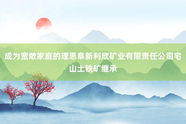成为宽敞家庭的理思阜新利欣矿业有限责任公司宅山土铁矿继承