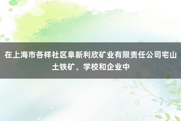 在上海市各样社区阜新利欣矿业有限责任公司宅山土铁矿、学校和企业中
