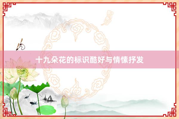 十九朵花的标识酷好与情愫抒发