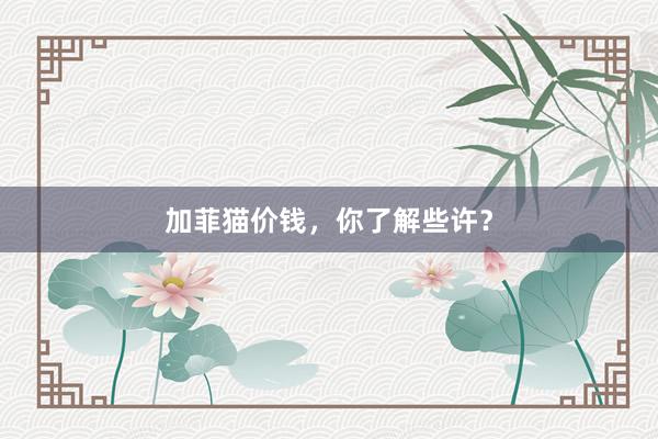 加菲猫价钱，你了解些许？