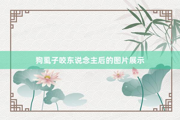 狗虱子咬东说念主后的图片展示