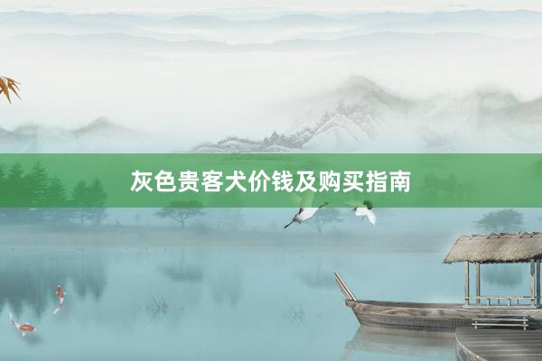 灰色贵客犬价钱及购买指南