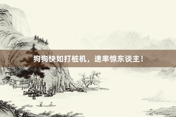 狗狗快如打桩机,速率惊东谈主!